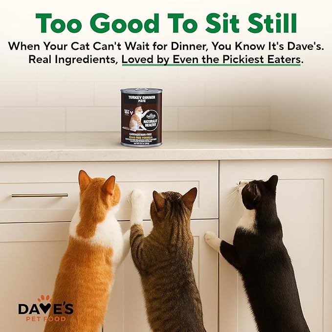 Dave's Pet Food Grain Free Wet Canned Cat Food (Turkey), Made in USA Naturally Healthy, Added Vitamins & Minerals, Gluten-Free, 12.5 oz Cans (12 Pack)