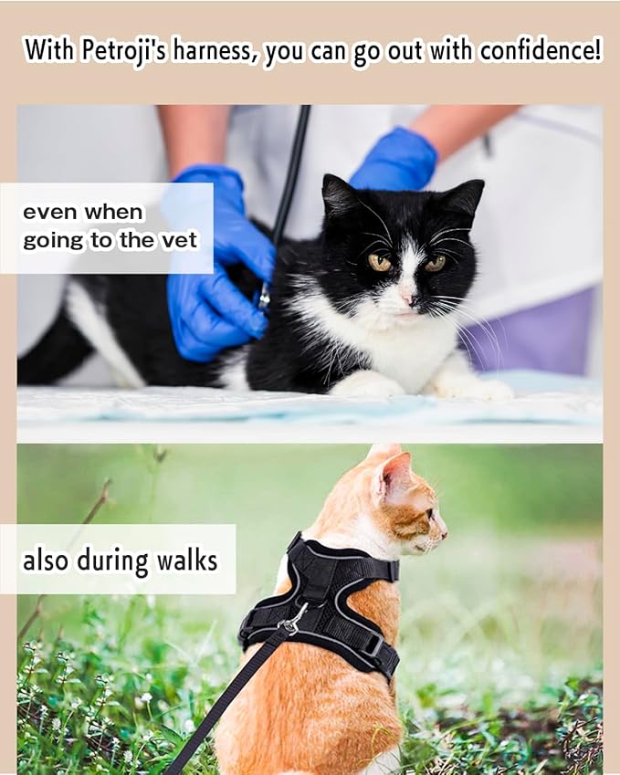 Cat Harness Escape Proof with Leash for Walking, Travel Vest Soft Chest Support, Adjustable Size, Escape Proof Soft Adjustable Vest Harnesses, Breathable, Kittens, Small Dogs (美/背縄/粉1/S)