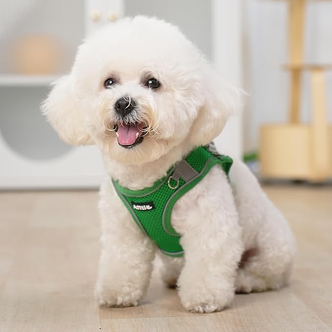 AIITLE Escape Proof Dog Harness - Step in Adjustable Dog Harness No Choke Over with Breathable Mesh and Quick-Release Buckle for Summer- Outdoor Walking, Camping, Training for Medium Dogs Green XL