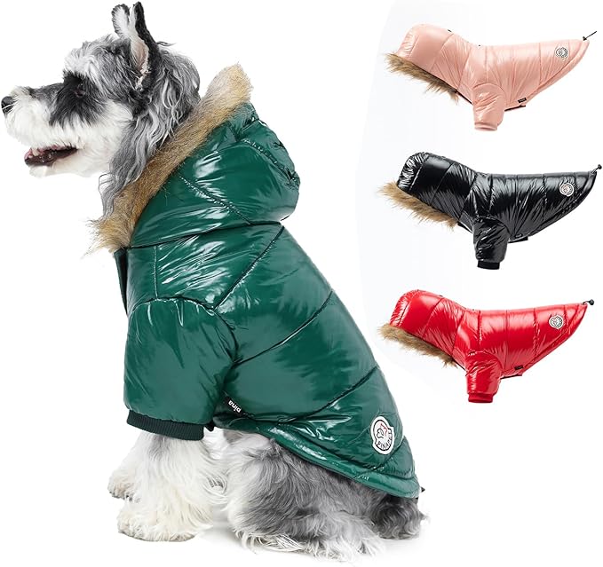 PINA Dog Winter Coat with Faux Fur Hood, Windproof and Warm, Suitable for Small to Large Dogs, Green, XL