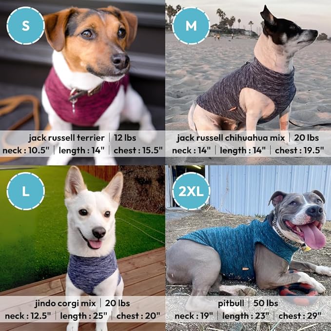 Gooby - Zip Up Fleece Vest, Fleece Jacket Sweater with Zipper Closure and Leash Ring, Turquoise Wash, Large