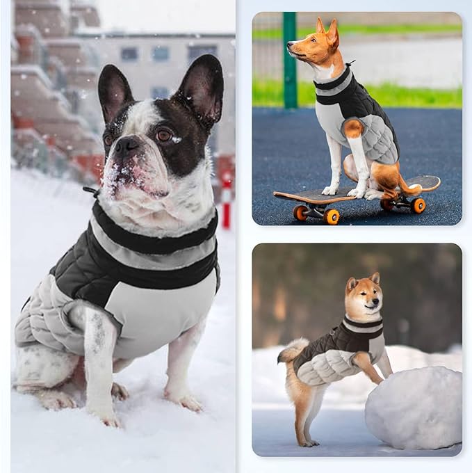 Small Dog Coat,Dog Jackets for Small Dogs,Warm Winter Jacket, Puppy Coat with Harness Built in,Waterproof Dogs Jacket,Puppy Cold Weather Coats,Winter Clothes Snowsuit Shih Tzu Bichon,Black