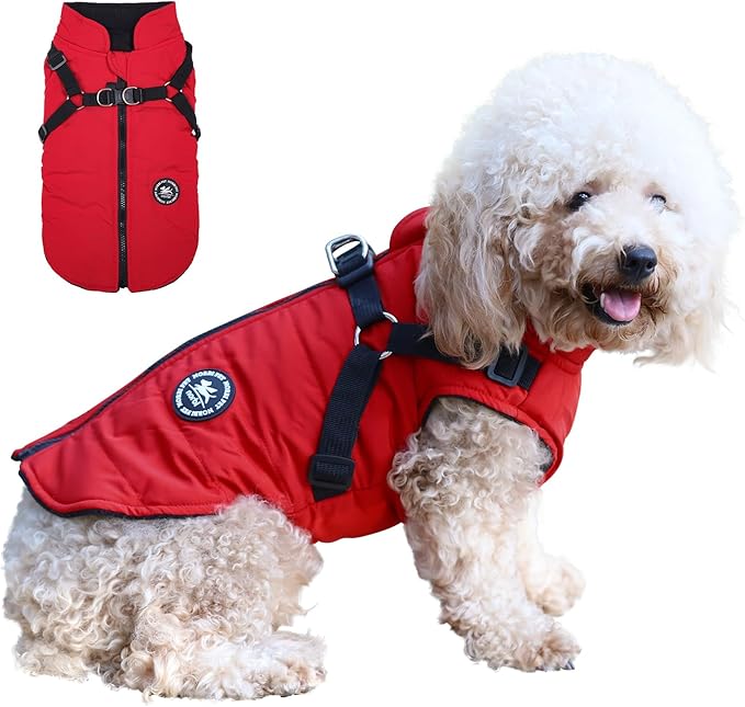 Norbi Pet Warm Jacket Small Dog Vest Harness Puppy Winter 2 in 1 Outfit Cold Weather Coat L