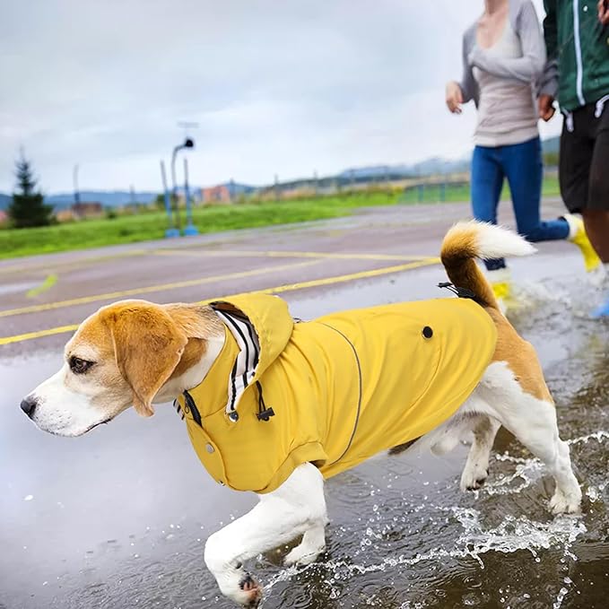 Dog Raincoat Waterproof Raincoats Dog rain Jacket Buttons Zipper Hood Drawstring Suitable for Small Medium Yorkie Terrier Schnauzer Poodle Border Collie Labrador 8lbs to 80lbs Yellow L
