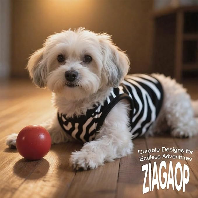 Adorable Zebra Print Dog Shirts – Lightweight, Cozy Outfit for Small to Medium Dogs, Soft & Snuggly Pet Wear for Everyday Comfort and Cuteness.Black M