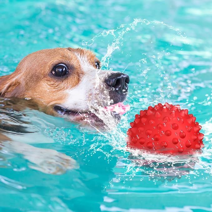 Apasiri Dog Balls Squeaky Dog Toys for Large Dogs, Dog Toys for Aggressive Chewers, Tough Spiky Dog Ball, Floatable Rubber Pet Toys for Medium Breed, Beef Flavor, Pack of 2