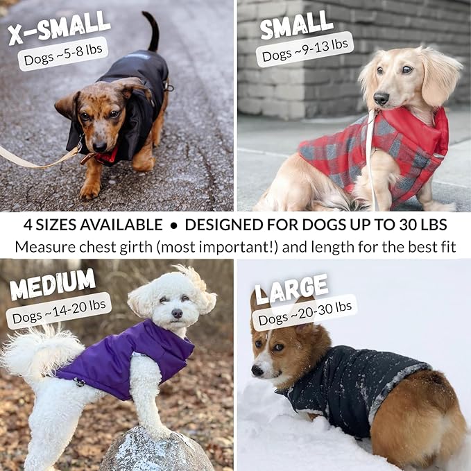 DJANGO Reversible Puffer Dog Coat – Warm Winter Dog Jacket & Water-Repellent Insulated Dog Coat w/Harness Hole, Windproof, Adjustable Fit for Small & Medium Dogs, Dachshunds – Violet Purple, X-Small