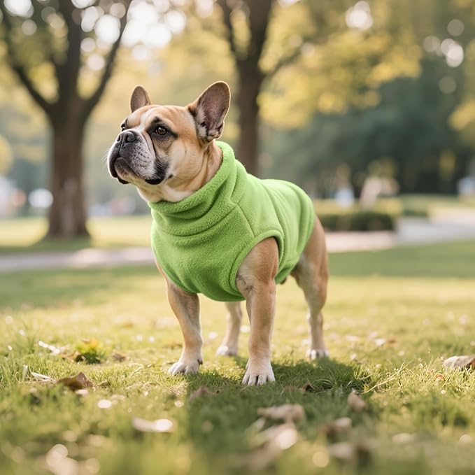 Idepet Dog Fleece Vest Sweater Zip Up Warm Pullover Dogs Jacket with D-Ring Leash Winter Cold Weater Coat Pet Sweatershirt Clothes Hoodie for Small Medium Dogs Boy Girl(Green,XL)