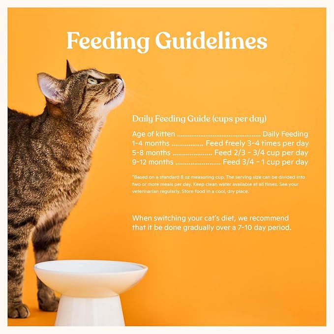 Made by Nacho Kitten Dry Kibble Infused with Bone Broth, Healthy High Protein Cat Food, Cage-Free Chicken and Chicken Liver, 2lb Bag