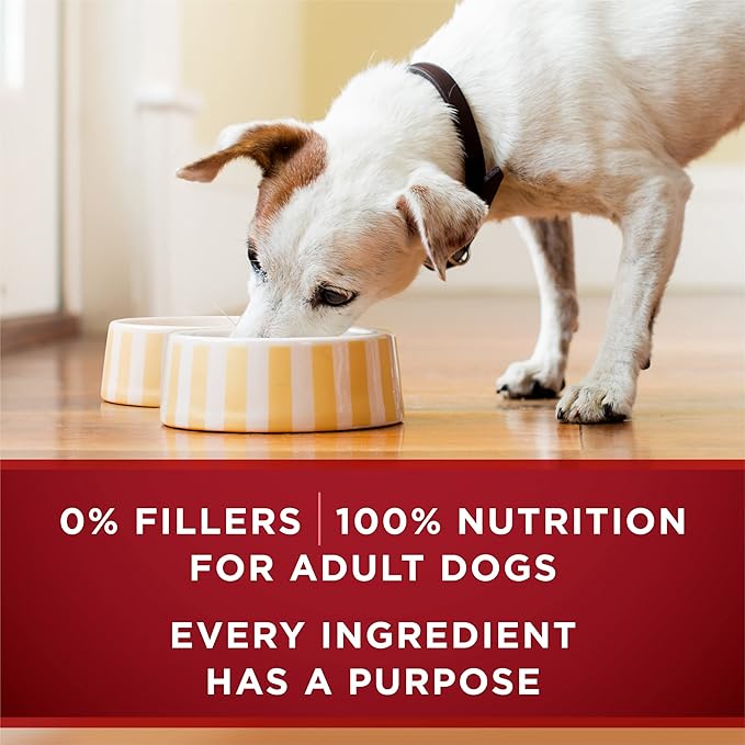 Purina ONE High Protein Wet Dog Food True Instinct Tender Cuts in Dog Food Gravy With Real Beef and Bison - (Pack of 12) 13 oz. Cans