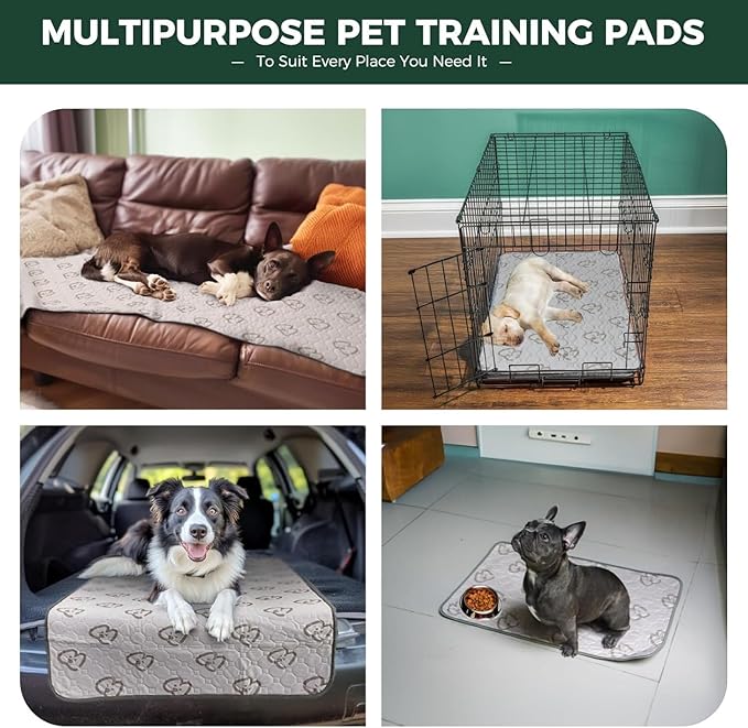 FXW Washable Pee Pads for Dogs, Puppy Pads with Super Absorbent, Specifically Designed for 18inch Cages, 17" × 11" Rectangle, Khaki, 2 Packs