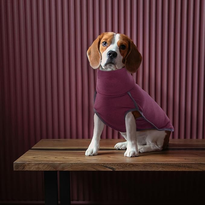 ROZKITCH Soft Warm Sweater Pajamas, Vest for Cold Weather Winter, Elastic Turtleneck, Sleeveless Pullover Clothes, Lightweight Pet Shirt for Small Medium Large Dogs Red L