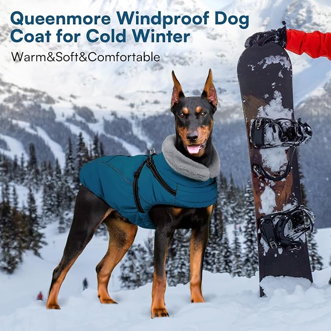 Queenmore Small Dog Coat,Dog Coat for Small Dogs,Reflective Windproof Dogs Jackets with Built-in Harness,Doggy Winter Jacket with Zipper On Back,Warm Pet Coats with Fleece Lining,Blue,S
