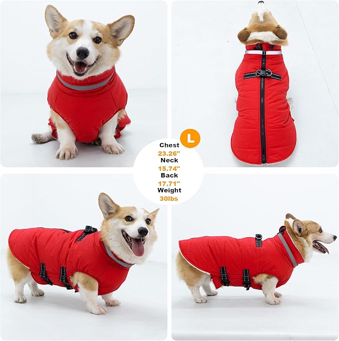 Large Dog Coat with Harness Built-in, Waterproof Reflective Fleece Lined - Warm Windproof Winter Jacket with Back Zipper, Cold Weather Snow Dog Coats - Red - 2XL