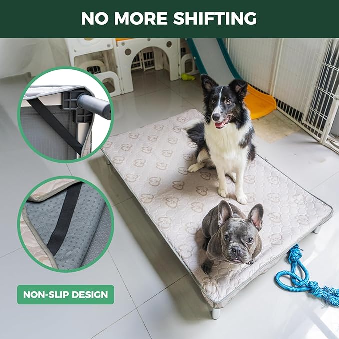 FXW TitanNest Chew-Proof Elevated Dog Bed, Raised Cot for Indoor/Outdoor/Camping Use, Durable & Waterproof Cooling Pet Bed with Exclusive Cover for Toy Dogs, 24.0" L x 20.0" W x 4.1" H, Black
