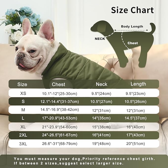 2 Layers Fleece Lined Warm Dog Jacket for Puppy Winter Cold Weather,Soft Windproof Small Dog Coat,Green S