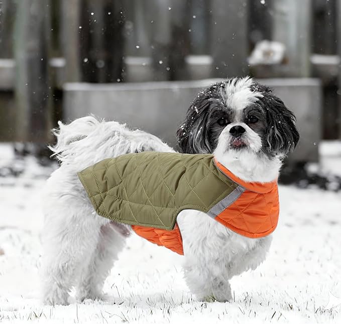 Quilted Dog Winter Coat, Plaid Lined Reversible Vest, Reflective Safety Strip, Cold Weather Pet Apparel Army Green XXS