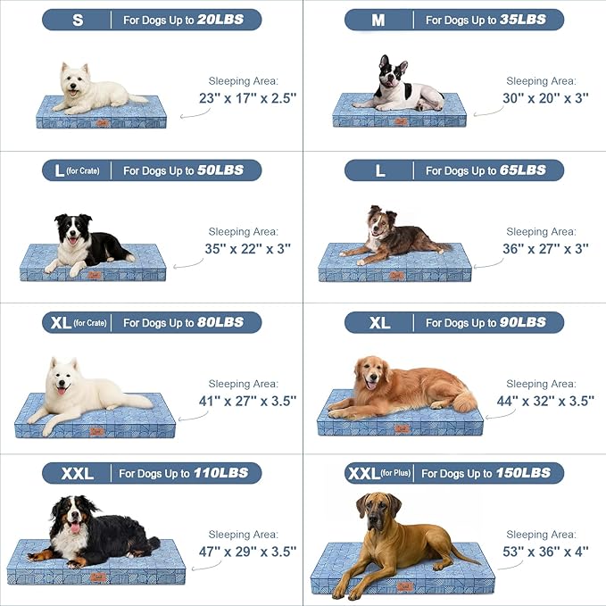 Outdoor Orthopedic Dog Bed for Medium Dogs & Cats, Waterproof Flat Pet Mat with Egg Crate Foam & Washable Removable Oxford Cover, 30x20 Inch, White Blue
