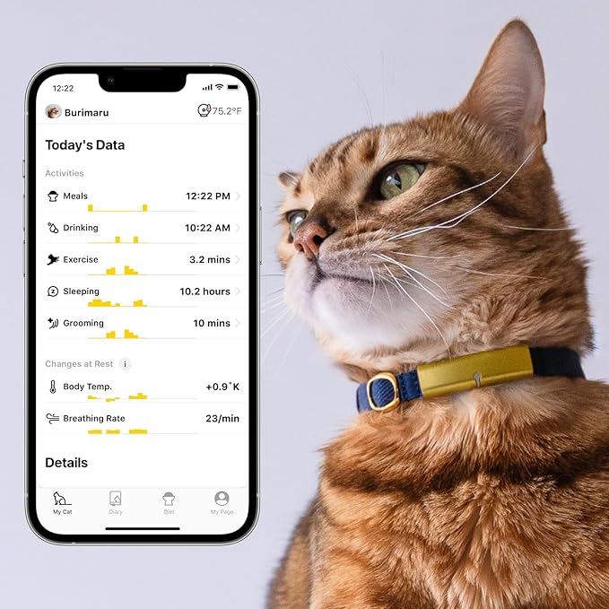 Health Tracker for Cats - Smart Cat Collar with Safety Breakaway Buckle for Indoor Cats, Wellness Alerts, Real-time Monitoring ([R2-D2] Design, M)