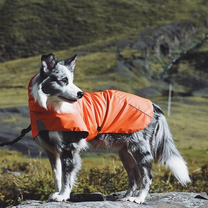 Dog Water-Repellent Raincoat Jacket, Lightweight Reflective Waterproof Clothes for Small Medium Large Dogs, Outdoor for Fall & Spring (Yellow, 2XL)