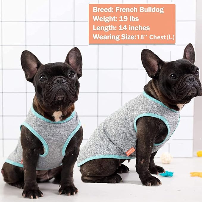 KYEESE 2 Pack Sun Protection Dog Shirts Quick Dry Soft Stretchy Dog T-Shirts with Reflective Label Tank Top Sleeveless Vest Pet Clothes for Small Medium Pet, Large, Grey+Blue