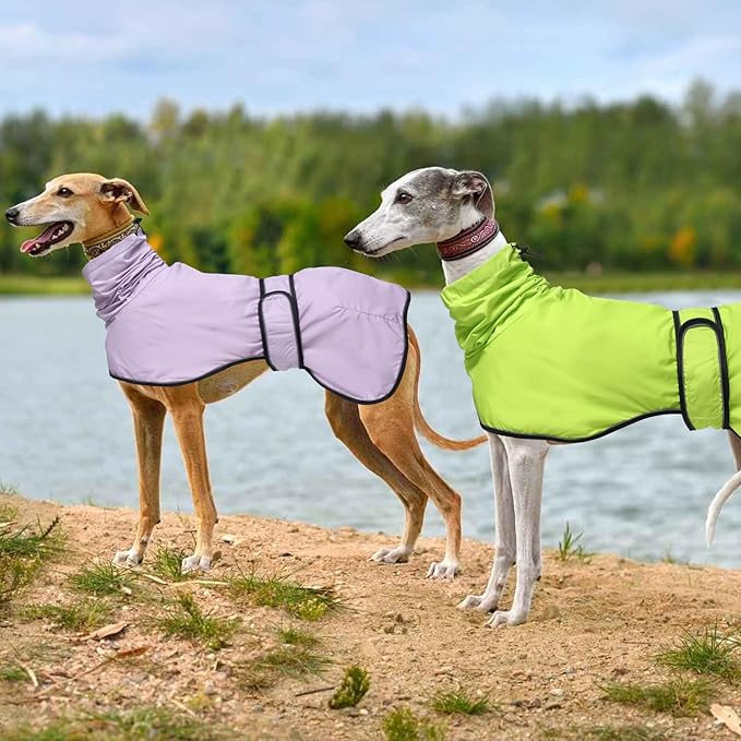 Dog Raincoat with Reflective Bar, Rain/Water Resistant, Adjustable Vest - Dog Raincoats for Greyhounds, Lurchers and Whippets - Purple - M