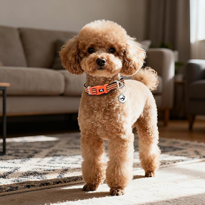 Small Dog Collar with Bell - Cute Reflective Puppy Collar Gift for Boy/Girl, Adjustable Nylon Collar for Chihuahua Pomeranian Nighttime Safety （Orange S）