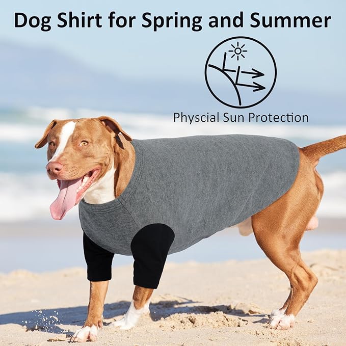 2 Pack Dog Shirt for Medium Dogs - Soft Breathable Summer Cool Tee, Lightweight Comfortable Clothes for Sensitive Skin Jack Russell, Shihtzu, Indoor Lounging, Walking, Park Play, GreyBlack