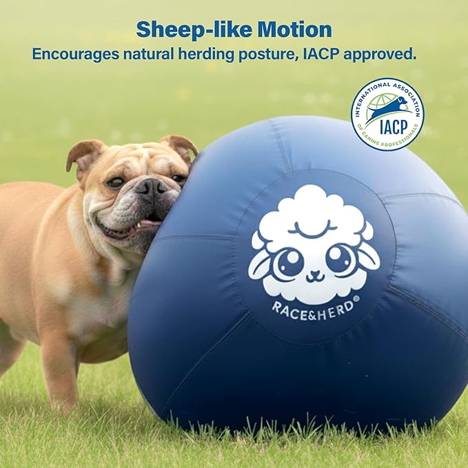 Race&Herd 18" Original XXL Herding Ball for Dogs - Giant Herding Dog Ball Australian Shepherds, Herding Toys, Dog Training Toy for Small Breeds, Dog Toy for Outdoor Play (for Small Dogs, Blue)