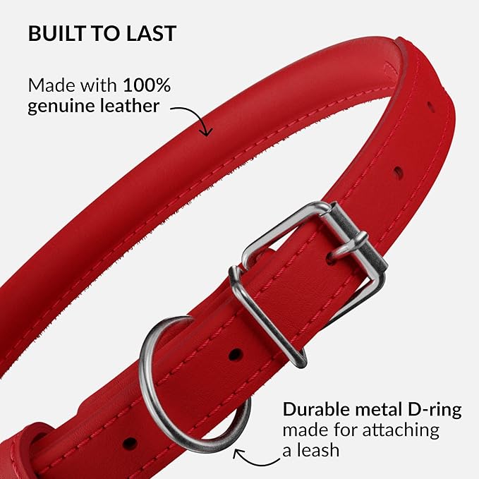 CollarDirect Rolled Leather Dog Collar, Soft Padded Round Puppy Collar, Handmade Genuine Leather Collar Dog Small Large Cat Collars 13 Colors (15-19 Inch, Red Smooth)