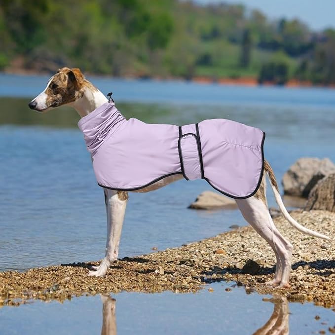 Dog Raincoat with Reflective Bar, Rain/Water Resistant, Adjustable Vest - Dog Raincoats for Greyhounds, Lurchers and Whippets - Purple - XXL