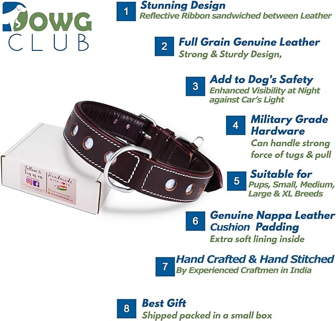 | Genuine Leather Dog Collar | Full Grain, Heavy Duty | Comfortable, Padded, Strong | Best for Pups, Small, Medium, Large & XL Breeds (Small (Fit Neck Size 11.5"-14.5"), Garnet)
