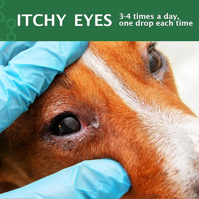 AIQIUSHA Dog Eye Drops 60ML for All Animal Eye Wash,Helps Relieve Pink Eye & Allergy Symptoms,Eases Itching & Irritation,with Pure Natural Essential Oils 100% Natural, Safe, Gentle and Non- Toxic