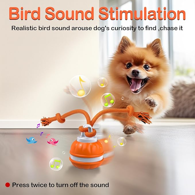 Peppy Pet Ball for Dogs, Dog Interactive Toys,Motion Activate Rolling Ball for Puppy/Small Dogs, Automatic Moving Toy,USB Rechargeable