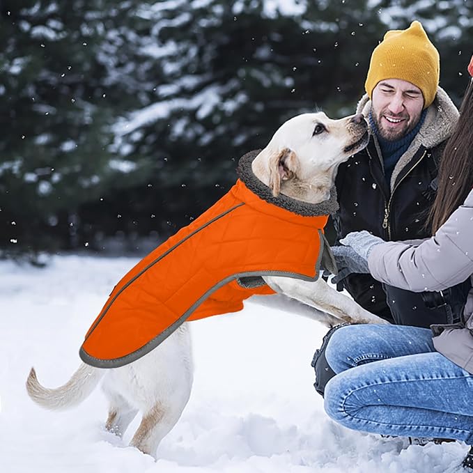 Fragralley Dog Coat Large, Waterproof Dog Jacket with Warm Fleece Lining, Adjustable Reflective Dogs Winter Coat, Turtleneck Pet Coats for Cold Weather (Orange XL)