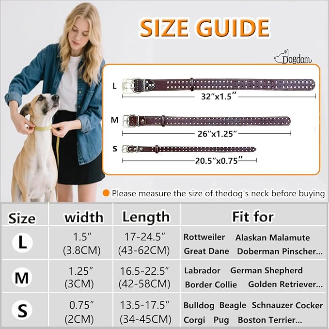 Studded Leather Dog Collar – Durable Adjustable Collar, Black Small