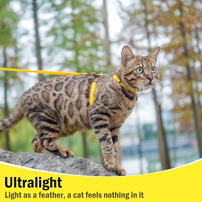 PUPTECK Adjustable Cat Harness and Leash Set Escape Proof Kitten Strap Collar for Walking Travel, Yellow