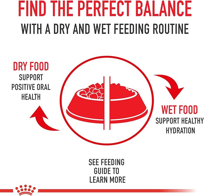Royal Canin Breed Health Nutrition Boxer Adult Loaf in Sauce Dog Food, 13.5 oz (Pack of 12)