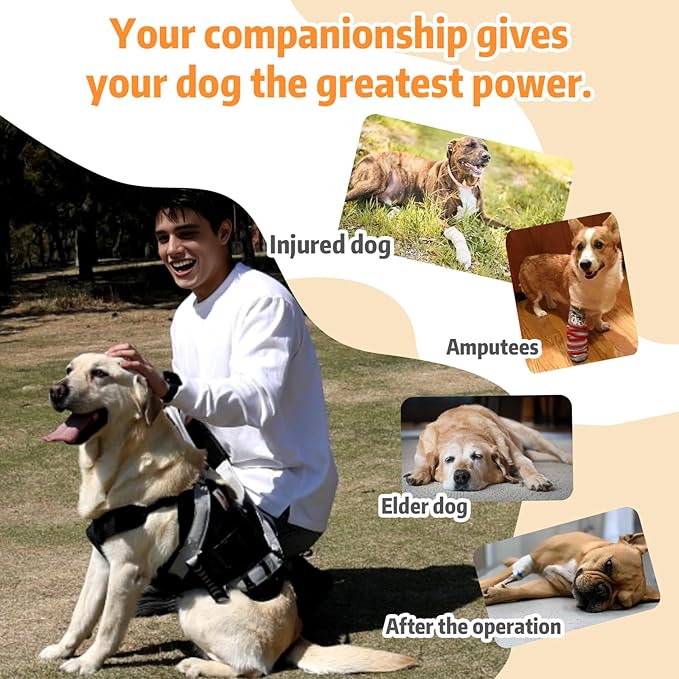 Dog Lift Harness for Large Dogs,Full Body Dog Sling Carrier with Handle,for Up Stair/Back Legs Support/Dogs Joint Injuries/Arthritis (Large)
