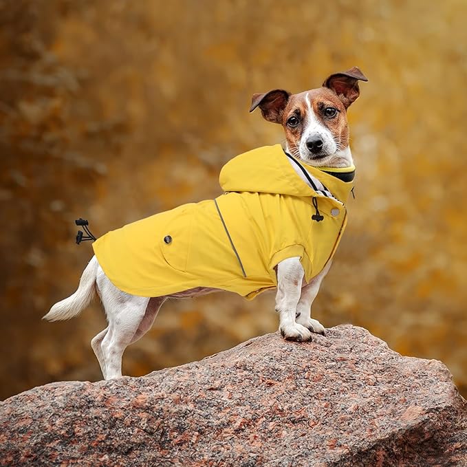 Dog Raincoat Waterproof Raincoats Dog rain Jacket Buttons Zipper Hood Drawstring Suitable for Small Medium Yorkie Terrier Schnauzer Poodle Border Collie Labrador 8lbs to 80lbs Yellow S