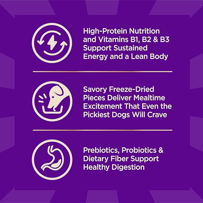 Wellness CORE+ Dry Dog Food with Freeze Dried Pieces, Wholesome Grains, High Protein, Natural, Original Turkey & Chicken Recipe, (4-Pound Bag)