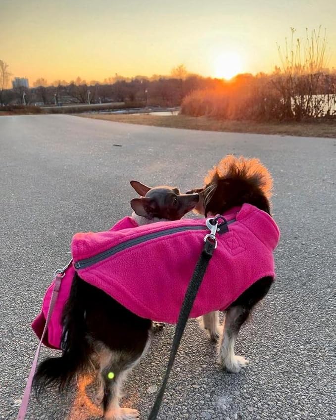 Gooby Zip Up Fleece Dog Sweater - Blue, X-Large - Warm Pullover Fleece Step-in Dog Jacket with Dual D Ring Leash for Small to Medium Dogs