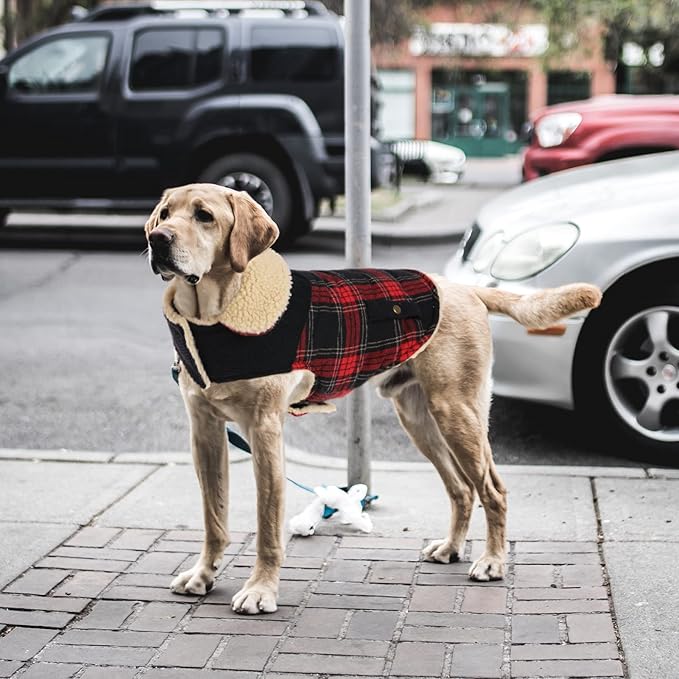 Winter Coat for Small and Medium Dogs, Puppy Plaid Jacket, Cotton Coat for Cold Weather, Windproof Warm Dog Garments, Pet Thickened Outfits Indoor Outdoor, Red XL