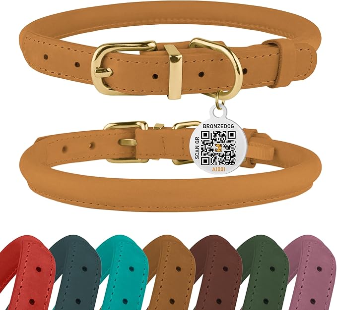 BronzeDog Rolled Leather Dog Collar with QR ID Tag, Adjustable Soft Round Collars for Small Medium Large Dogs Puppy (9" - 11" Neck Size, Mustard)