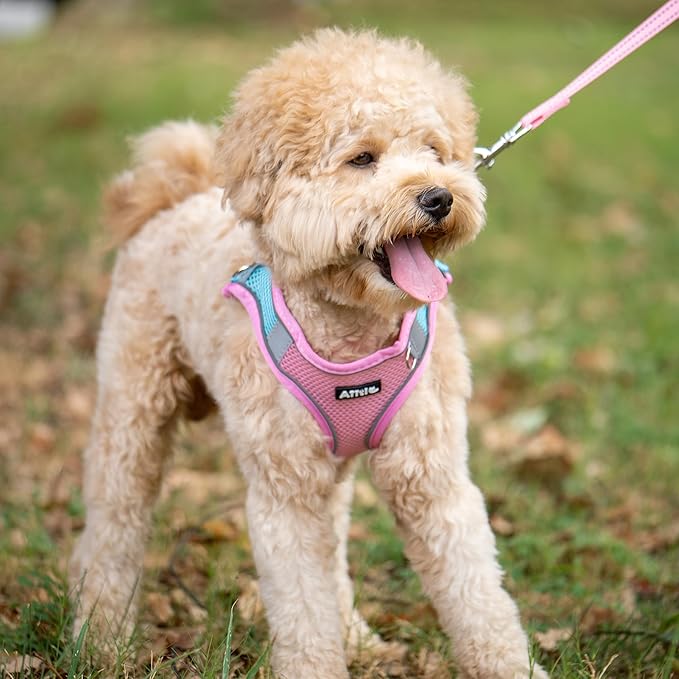 AIITLE Escape Proof Dog Harness - Step in Adjustable Dog Harness No Choke Over with Breathable Mesh and Quick-Release Buckle for Summer- Outdoor Walking, Camping, Training for Medium Dogs Pink XL