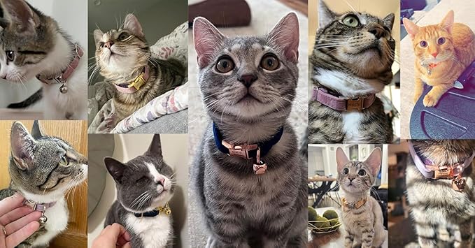 Personalized Cat Collar with Bells,Velvet Customized Small Cat Collar with Name Tag,Pet Collar with Name Phone Number Engraved ID Tags for Boy and Girl Kitten Cats (Milk Tea)