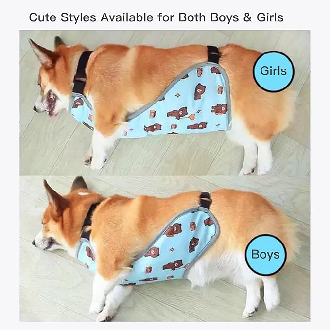 Waterproof Belly Shield for Corgis & Dachshunds – Adjustable underbelly Protector. Male/Female Designs. Stays Dry in rain, mud & Grass. Ideal for Sensitive Skin (Blue - Female, S)