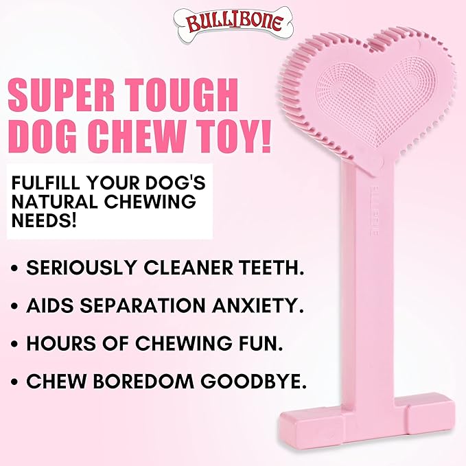 Bullibone Nylon Dog Chew Toy Nylon Bone - Improves Dental Hygiene, Easy to Grip Bottom, and Permeated with Flavor (Peppermint, Large - 2 Pack)