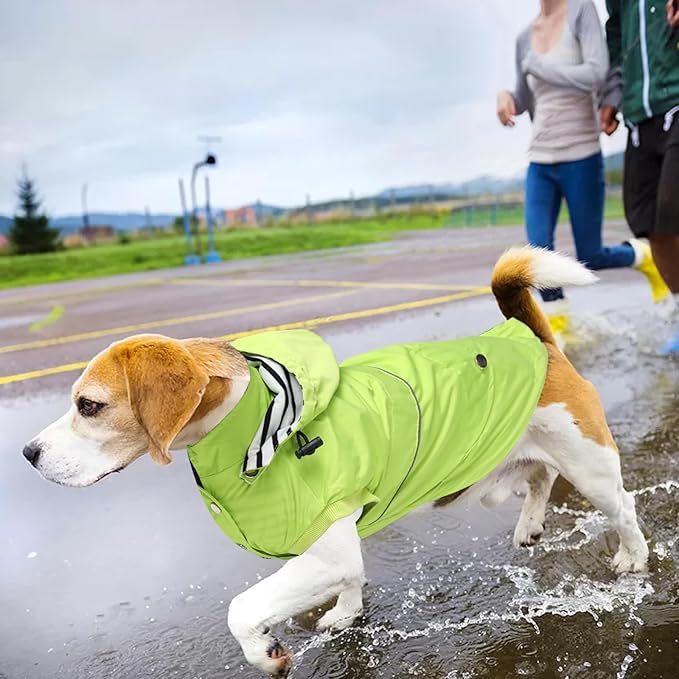 Dog Raincoat Waterproof Raincoats Dog rain Jacket Buttons Zipper Hood Drawstring Suitable for Small Medium Yorkie Terrier Schnauzer Poodle Border Collie Labrador 8lbs to 80lbs Green S