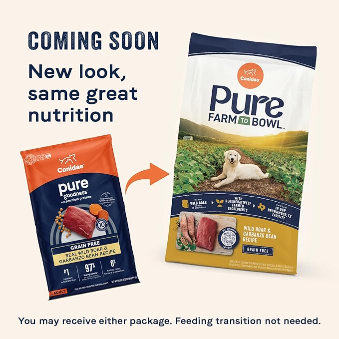 Canidae Pure Limited Ingredient Premium Adult Dry Dog Food, Real Wild Boar & Garbanzo Bean Recipe, 4 lbs, Grain Free